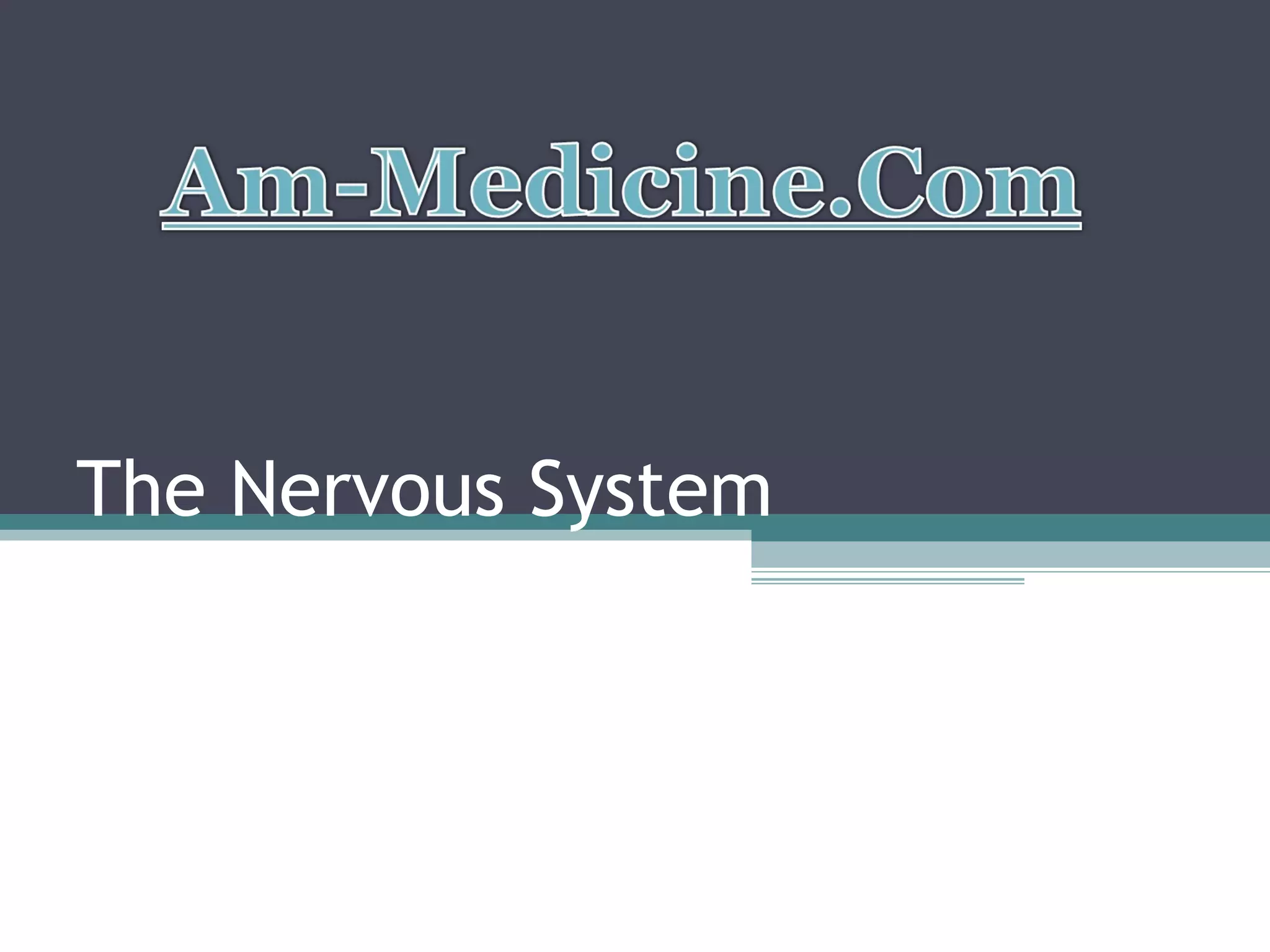 Anatomy & Physiology Lecture Notes - The nervous system | PPT