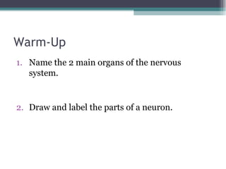 Warm-Up
1. Name the 2 main organs of the nervous
system.
2. Draw and label the parts of a neuron.
 