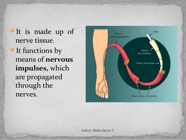 The Spatial Structure of Stimuli Shapes the Timescale of Correlations... The Spatial Structure of Stimuli Shapes the Timescale of Correlations...