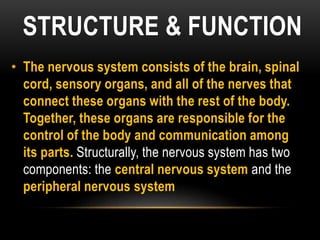 STRUCTURE & FUNCTION
• The nervous system consists of the brain, spinal
cord, sensory organs, and all of the nerves that
connect these organs with the rest of the body.
Together, these organs are responsible for the
control of the body and communication among
its parts. Structurally, the nervous system has two
components: the central nervous system and the
peripheral nervous system
 