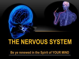 Be ye renewed in the Spirit of YOUR MIND
THE NERVOUS SYSTEM
 