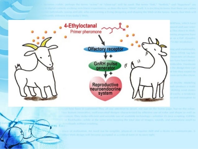 Messages To And From The Central Nervous System Travel Via Messages To And From The Central Nervous System Travel Via
