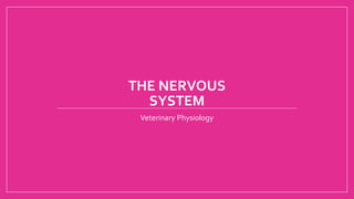 THE NERVOUS
SYSTEM
Veterinary Physiology
 