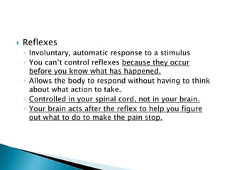 The nervous system | PPTX