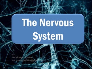 ©
Ma. Guadalupe Robles
ma.guadaluperobles@yahoo.com
The Nervous
System
 