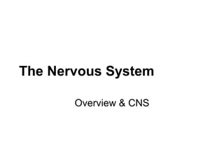 The Nervous System
Overview & CNS
 