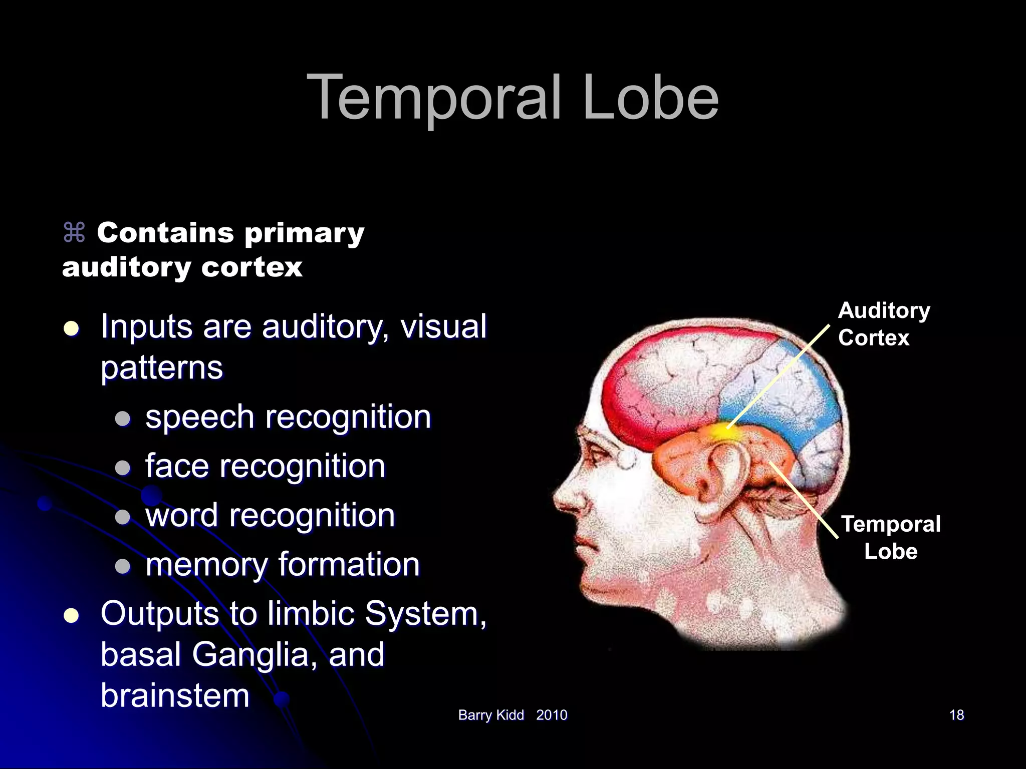 Barry Kidd 2010 18
Temporal Lobe
 Inputs are auditory, visual
patterns
 speech recognition
 face recognition
 word recognition
 memory formation
 Outputs to limbic System,
basal Ganglia, and
brainstem
 Contains primary
auditory cortex
Temporal
Lobe
Temporal
Lobe
Auditory
Cortex
 