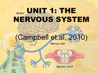 UNIT 1: THE
NERVOUS SYSTEM
(Campbell et.al, 2010)
 