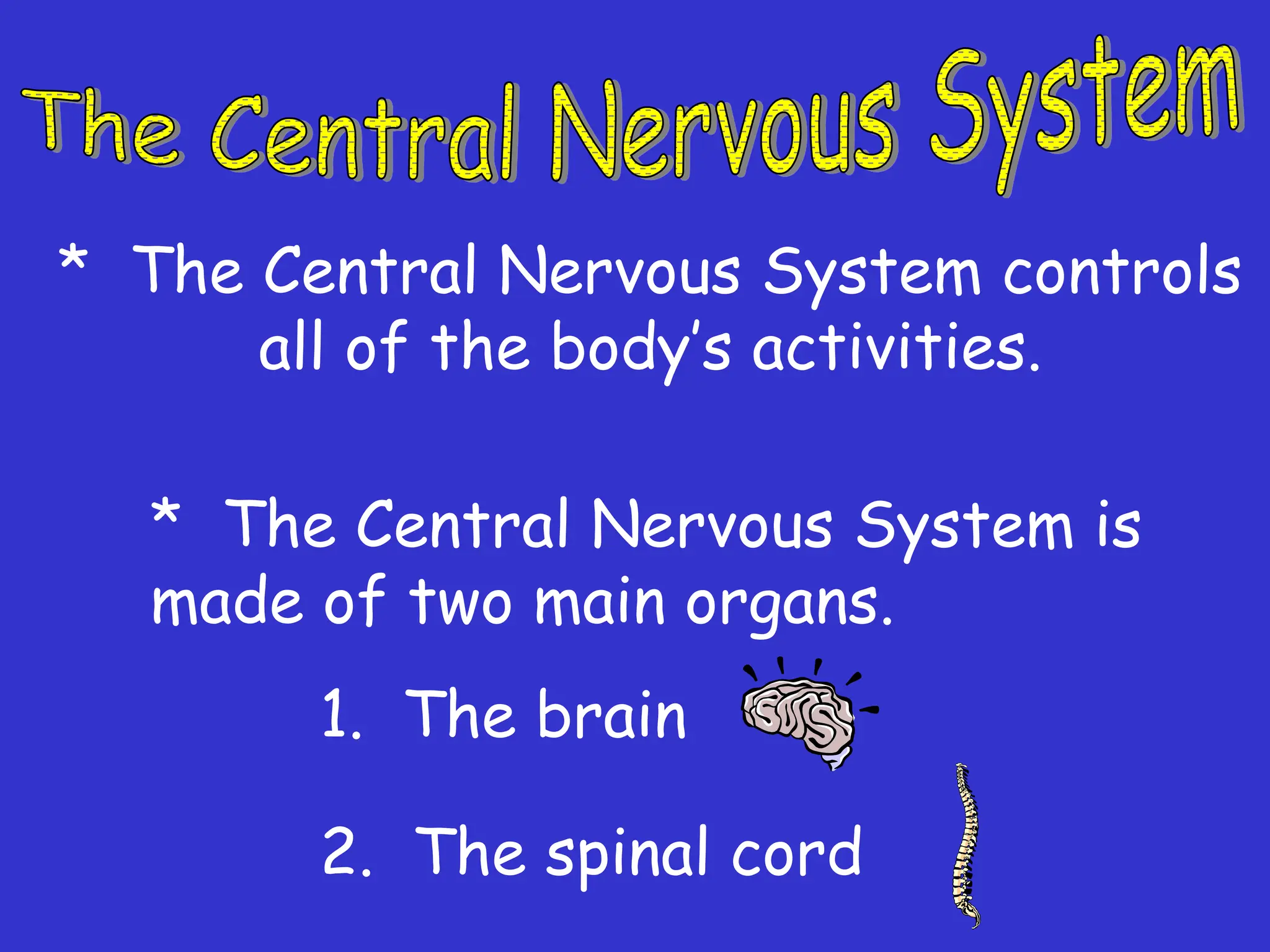 * The Central Nervous System controls
all of the body’s activities.
* The Central Nervous System is
made of two main organs.
1. The brain
2. The spinal cord
 