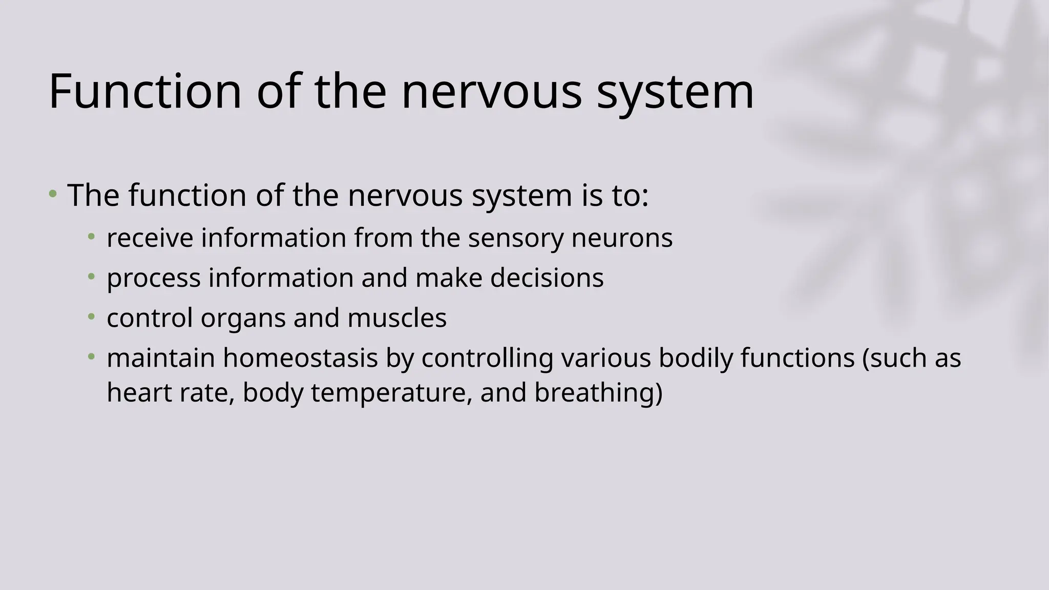 The nervous system, a PowerPoint regarding the nervous system | PPT