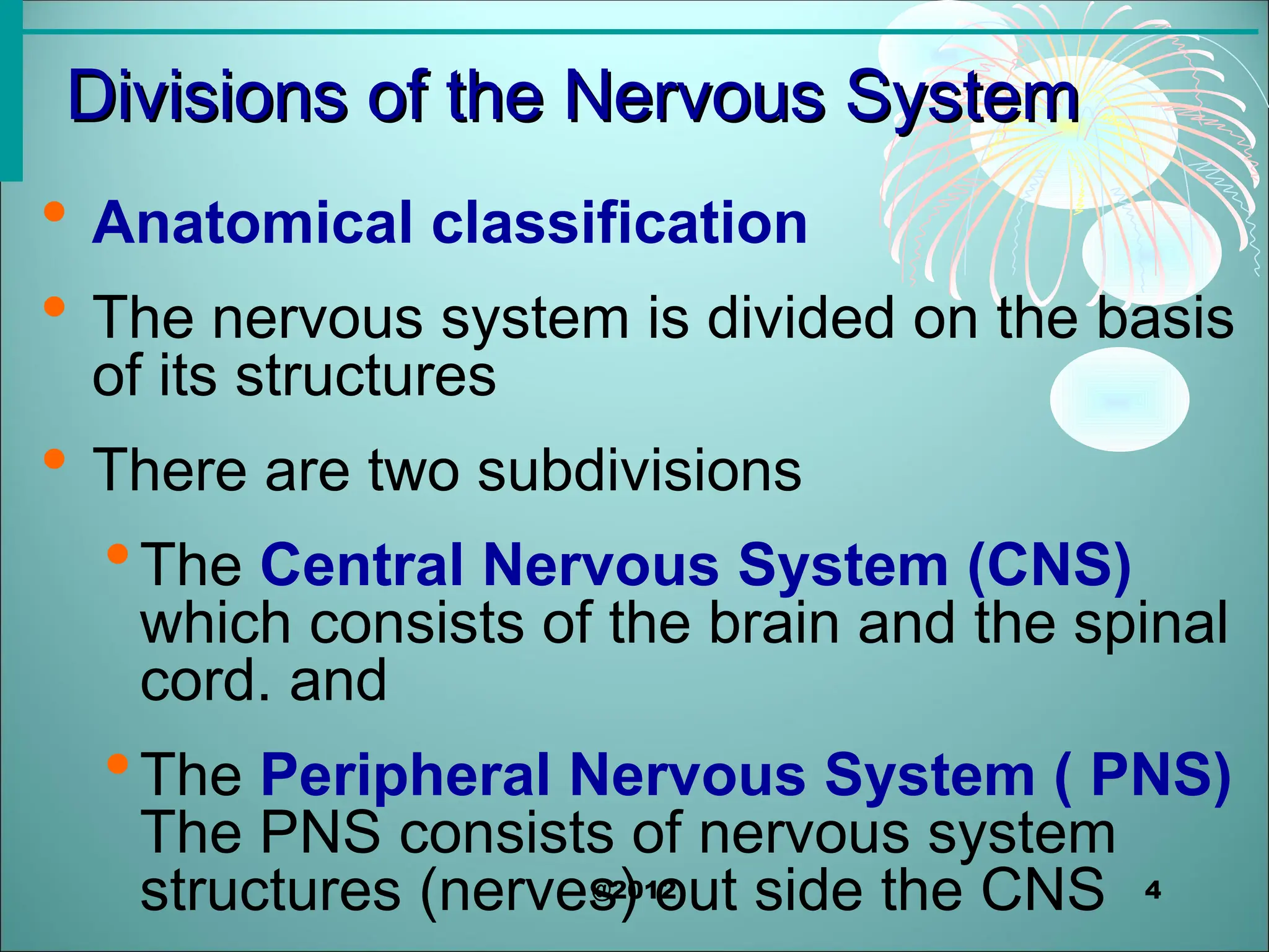 The Nervous System.power point presentation | PPT