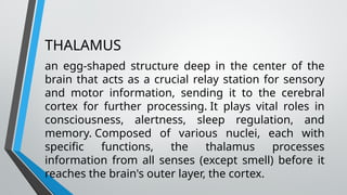 THALAMUS
an egg-shaped structure deep in the center of the
brain that acts as a crucial relay station for sensory
and motor information, sending it to the cerebral
cortex for further processing. It plays vital roles in
consciousness, alertness, sleep regulation, and
memory. Composed of various nuclei, each with
specific functions, the thalamus processes
information from all senses (except smell) before it
reaches the brain's outer layer, the cortex.
 