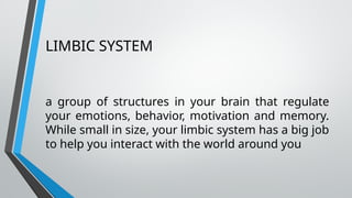 LIMBIC SYSTEM
a group of structures in your brain that regulate
your emotions, behavior, motivation and memory.
While small in size, your limbic system has a big job
to help you interact with the world around you
 