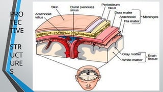PRO
TEC
TIVE
STR
UCT
URE
S
 