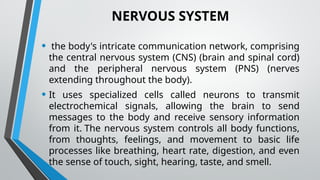 NERVOUS SYSTEM
• the body's intricate communication network, comprising
the central nervous system (CNS) (brain and spinal cord)
and the peripheral nervous system (PNS) (nerves
extending throughout the body).
• It uses specialized cells called neurons to transmit
electrochemical signals, allowing the brain to send
messages to the body and receive sensory information
from it. The nervous system controls all body functions,
from thoughts, feelings, and movement to basic life
processes like breathing, heart rate, digestion, and even
the sense of touch, sight, hearing, taste, and smell.
 