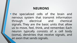 NEURONS
• the specialized cells of the brain and
nervous system that transmit information
through electrical and chemical
signals. They are the basic units that allow
us to move, feel, think, and remember. Each
neuron typically consists of a cell body
(soma), dendrites that receive signals, and
an axon that sends signals.
 