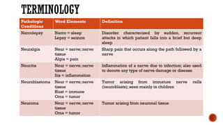 Neur Definition Comprehensive Overview of the Human Nervous System: Structure, Function ...