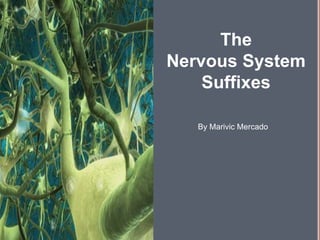 The  Nervous System Suffixes  By Marivic Mercado  