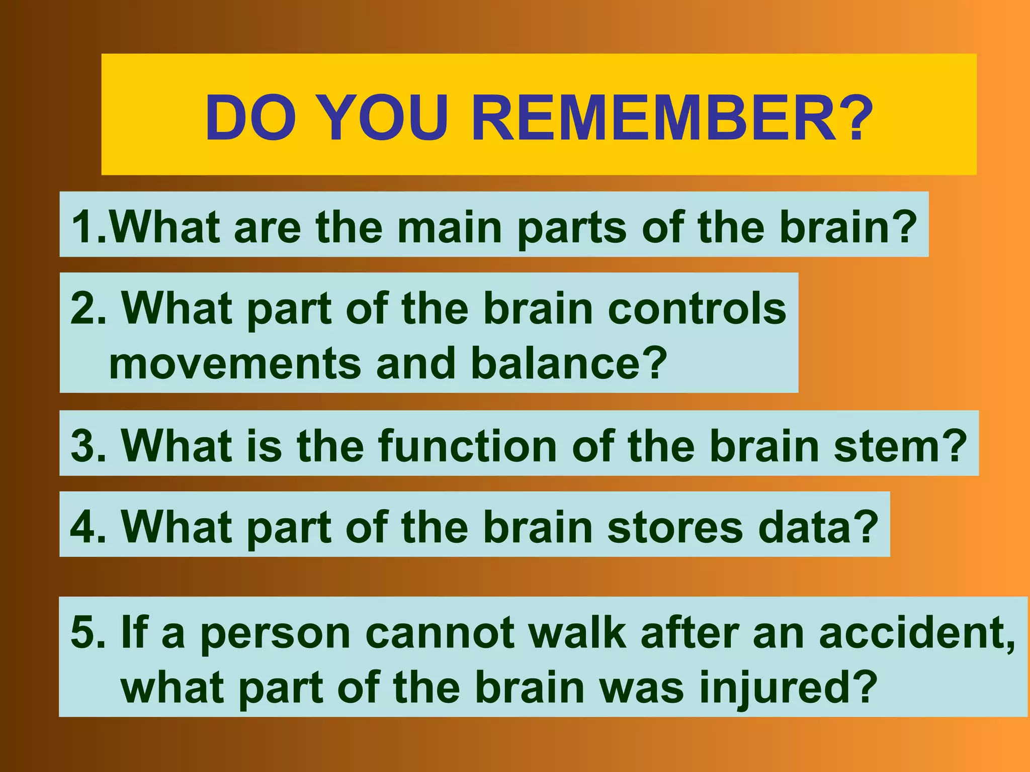 DO YOU REMEMBER? What are the main parts of the brain? 2. What part of the brain controls movements and balance? 4. What part of the brain stores data? 3. What is the function of the brain stem? 5. If a person cannot walk after an accident, what part of the brain was injured?