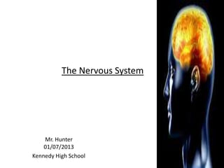 The Nervous System




    Mr. Hunter
    01/07/2013
Kennedy High School
 