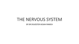 THE NERVOUS SYSTEM
BY DR SYLVESTER ACKAH FAMIEH
 