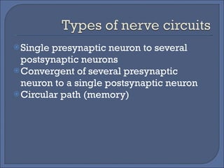Single presynaptic neuron to several postsynaptic neurons Convergent of several presynaptic neuron to a single postsynaptic neuron Circular path (memory) 