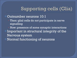Outnumber neurons 10:1 Then: glial cells do not participate in nerve signalling Now: presence of some synaptic interactions Important in structural integrity of the Nervous system Normal functioning of neurons 