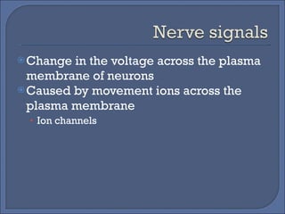 Change in the voltage across the plasma membrane of neurons Caused by movement ions across the plasma membrane Ion channels 