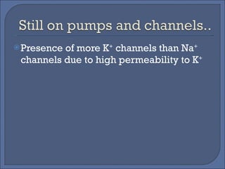 Presence of more K +  channels than Na +  channels due to high permeability to K + 