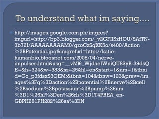 http://images.google.com.ph/imgres?imgurl=http://bp3.blogger.com/_v2GFIISzHOU/SAfTN-3b72I/AAAAAAAAAM0/gxoCzSqXK5o/s400/Action%2BPotential.jpg&imgrefurl=http://katie-humanbio.blogspot.com/2008/04/nerve-impulses.html&usg=__vMf6_WjdaeIWniQU8SyB-39dsQE=&h=324&w=383&sz=25&hl=en&start=1&um=1&tbnid=Co_p3fdsxS3QEM:&tbnh=104&tbnw=123&prev=/images%3Fq%3Daction%2Bpotential%2Bnerve%2Bcell%2Bsodium%2Bpotassium%2Bpump%26um%3D1%26hl%3Den%26rlz%3D1T4PBEA_en-GBPH281PH282%26sa%3DN 