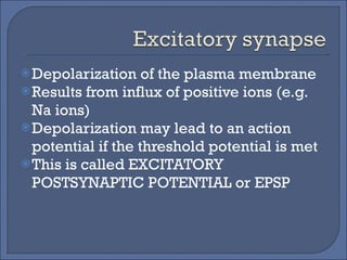 Depolarization of the plasma membrane Results from influx of positive ions (e.g. Na ions) Depolarization may lead to an action potential if the threshold potential is met This is called EXCITATORY POSTSYNAPTIC POTENTIAL or EPSP 