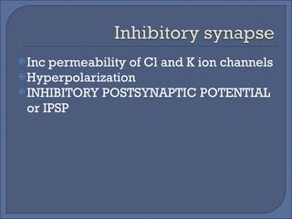 Inc permeability of Cl and K ion channels Hyperpolarization INHIBITORY POSTSYNAPTIC POTENTIAL or IPSP 