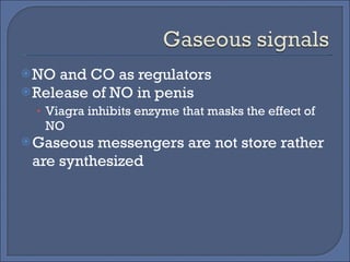 NO and CO as regulators Release of NO in penis Viagra inhibits enzyme that masks the effect of NO Gaseous messengers are not store rather are synthesized 