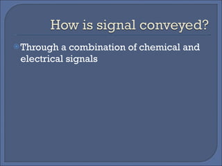 Through a combination of chemical and electrical signals 