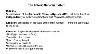 The Nervous System: Anatomy and Physiology.pptx