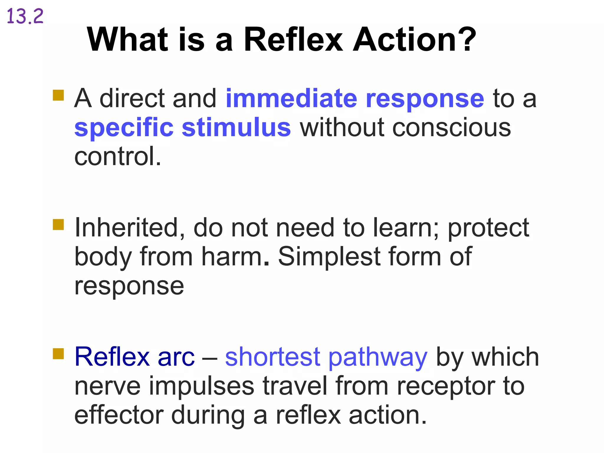  A direct and immediate response to a
specific stimulus without conscious
control.
 Inherited, do not need to learn; protect
body from harm. Simplest form of
response
 Reflex arc – shortest pathway by which
nerve impulses travel from receptor to
effector during a reflex action.
What is a Reflex Action?
13.2
 
