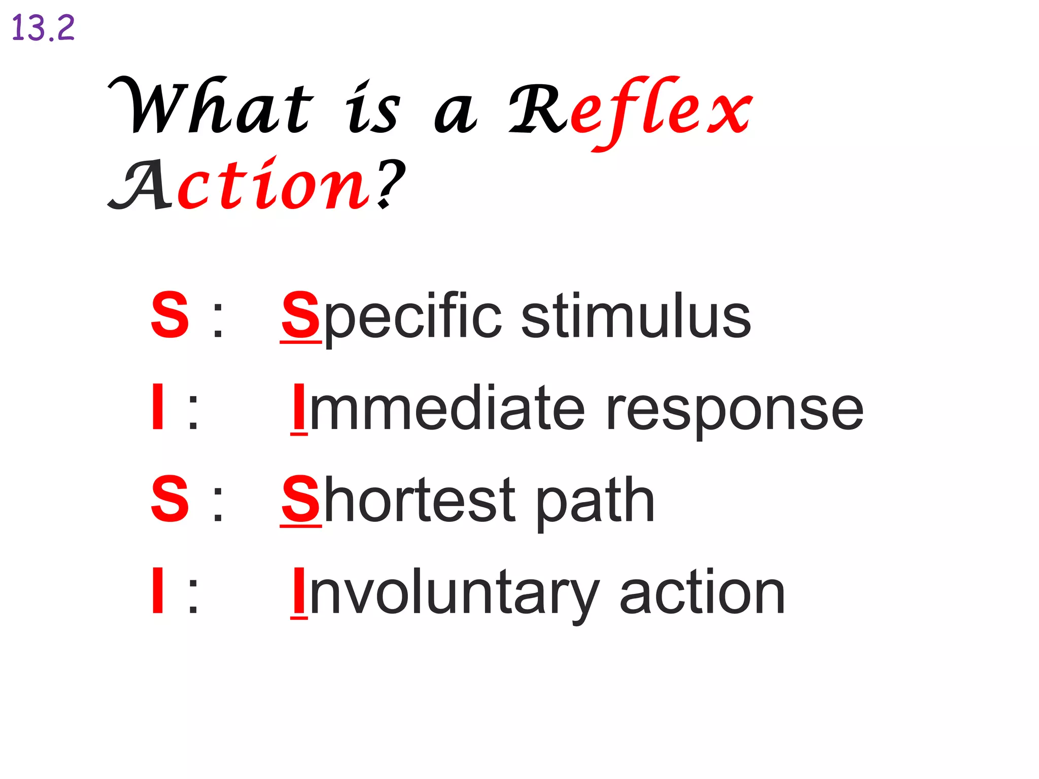 What is a Reflex
Action?
S : Specific stimulus
I : Immediate response
S : Shortest path
I : Involuntary action
13.2
 