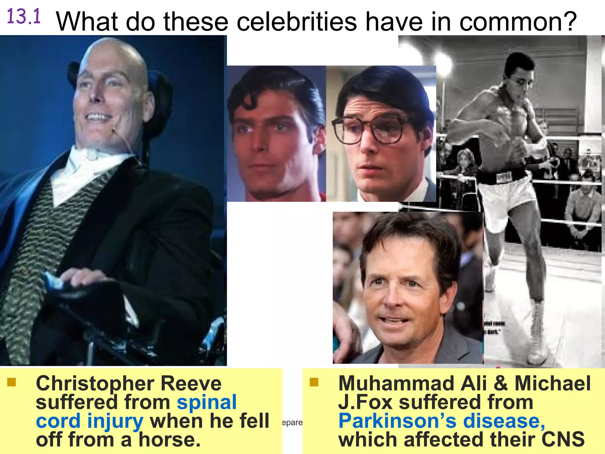 Prepared By, Ms Wong
What do these celebrities have in common?
 Muhammad Ali & Michael
J.Fox suffered from
Parkinson’s disease,
which affected their CNS
 Christopher Reeve
suffered from spinal
cord injury when he fell
off from a horse.
13.1
 