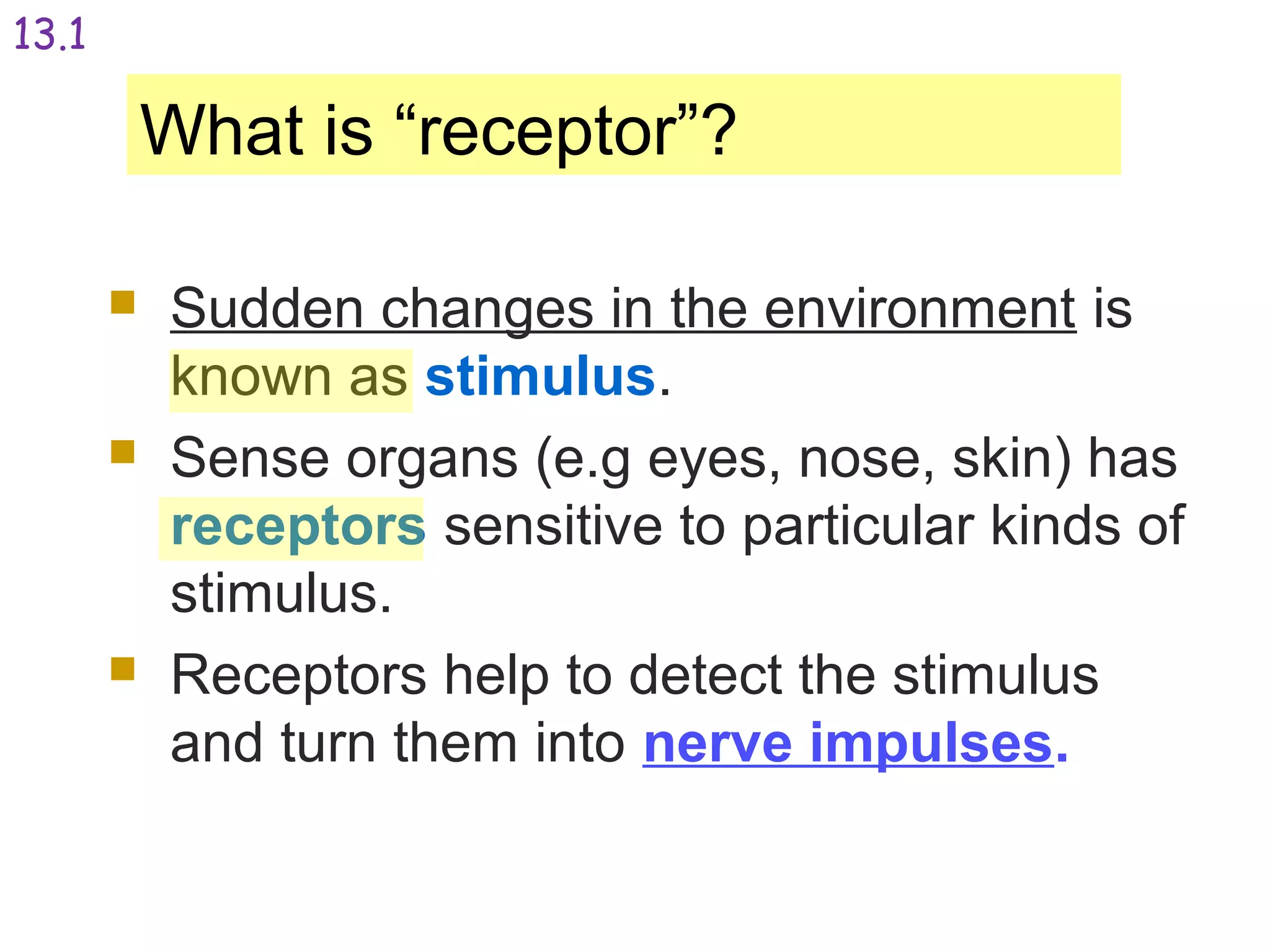 What is “receptor”?
 Sudden changes in the environment is
known as stimulus.
 Sense organs (e.g eyes, nose, skin) has
receptors sensitive to particular kinds of
stimulus.
 Receptors help to detect the stimulus
and turn them into nerve impulses.
13.1
 