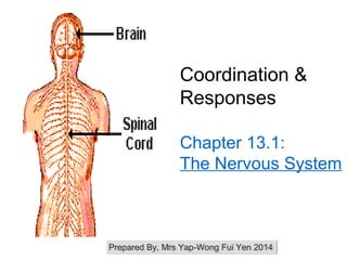 Coordination &
Responses
Chapter 13.1:
The Nervous System
Prepared By, Mrs Yap-Wong Fui Yen 2014Prepared By, Mrs Yap-Wong Fui Yen 2014
 
