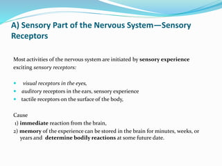 A) Sensory Part of the Nervous System—Sensory
Receptors
Most activities of the nervous system are initiated by sensory experience
exciting sensory receptors:
 visual receptors in the eyes,
 auditory receptors in the ears, sensory experience
 tactile receptors on the surface of the body,
Cause
1) immediate reaction from the brain,
2) memory of the experience can be stored in the brain for minutes, weeks, or
years and determine bodily reactions at some future date.
 
