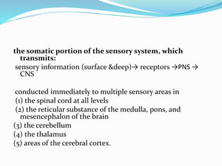 the somatic portion of the sensory system, which
transmits:
sensory information (surface &deep)→ receptors →PNS →
CNS
conducted immediately to multiple sensory areas in
(1) the spinal cord at all levels
(2) the reticular substance of the medulla, pons, and
mesencephalon of the brain
(3) the cerebellum
(4) the thalamus
(5) areas of the cerebral cortex.
 