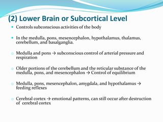 (2) Lower Brain or Subcortical Level
 Controls subconscious activities of the body
 In the medulla, pons, mesencephalon, hypothalamus, thalamus,
cerebellum, and basalganglia.
o Medulla and pons → subconscious control of arterial pressure and
respiration
o Older portions of the cerebellum and the reticular substance of the
medulla, pons, and mesencephalon → Control of equilibrium
o Medulla, pons, mesencephalon, amygdala, and hypothalamus →
feeding reflexes
o Cerebral cortex → emotional patterns, can still occur after destruction
of cerebral cortex
 