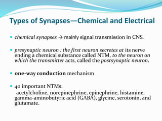 Types of Synapses—Chemical and Electrical
 chemical synapses → mainly signal transmission in CNS.
 presynaptic neuron : the first neuron secretes at its nerve
ending a chemical substance called NTM, to the neuron on
which the transmitter acts, called the postsynaptic neuron.
 one-way conduction mechanism
 40 important NTMs:
acetylcholine, norepinephrine, epinephrine, histamine,
gamma-aminobutyric acid (GABA), glycine, serotonin, and
glutamate.
 