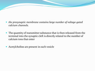  the presynaptic membrane contains large number of voltage-gated
calcium channels.
 The quantity of transmitter substance that is then released from the
terminal into the synaptic cleft is directly related to the number of
calcium ions that enter
 Acetylcholine are present in each vesicle
 