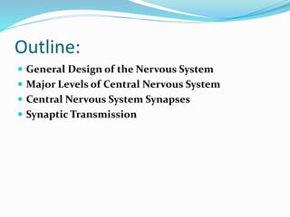 Outline:
 General Design of the Nervous System
 Major Levels of Central Nervous System
 Central Nervous System Synapses
 Synaptic Transmission
 