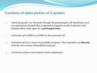 Functions of alpha portion of G protein:
1. Opening specific ion channels through the postsynaptic cell membrane such
as a potassium channel that is opened in response to the G-protein; this
channel often stays open for a prolonged time.
1. Activation of (cAMP) or (cGMP) in the neuronal cell
2. Activation of one or more intracellular enzymes. The G-protein can directly
activate one or more intracellular enzymes.
3. Activation of gene transcription (most important )
 
