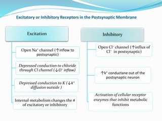 Excitatory or Inhibitory Receptors in the Postsynaptic Membrane
Excitation
Open Na⁺ channel (↑inflow to
postsynaptic)
Depressed conduction to chloride
through Cl channel (↓Cl⁻ inflow)
Depressed conduction to K (↓k⁺
diffusion outside )
Internal metabolism changes the #
of excitatory or inhibitory
Inhibitory
Open Cl⁻ channel (↑influx of
Cl⁻ in postsynaptic)
↑k⁺ conductane out of the
postsynaptic neuron
Activation of cellular receptor
enzymes that inhibit metabolic
functions
 
