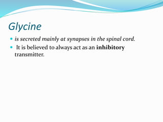 Glycine
 is secreted mainly at synapses in the spinal cord.
 It is believed to always act as an inhibitory
transmitter.
 