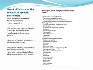 Chemical Substances That
Function as Synaptic
transmitters
•Synthesized in ribosome
rather than cytosol
•Large molecules,
•the vesicle that contain them is
autolyzed and is not reused
•prolonged actions, more
potent
•long-term changes in numbers
of neuronal receptors,
•long-term opening or closure of
certain ion channels,
•longterm changes in numbers
of synapses or sizes of synapses.
 